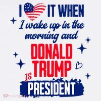 I Love It When I Wake Up In The Morning And Donald Trump Is President Women's Hoodie thumb 2