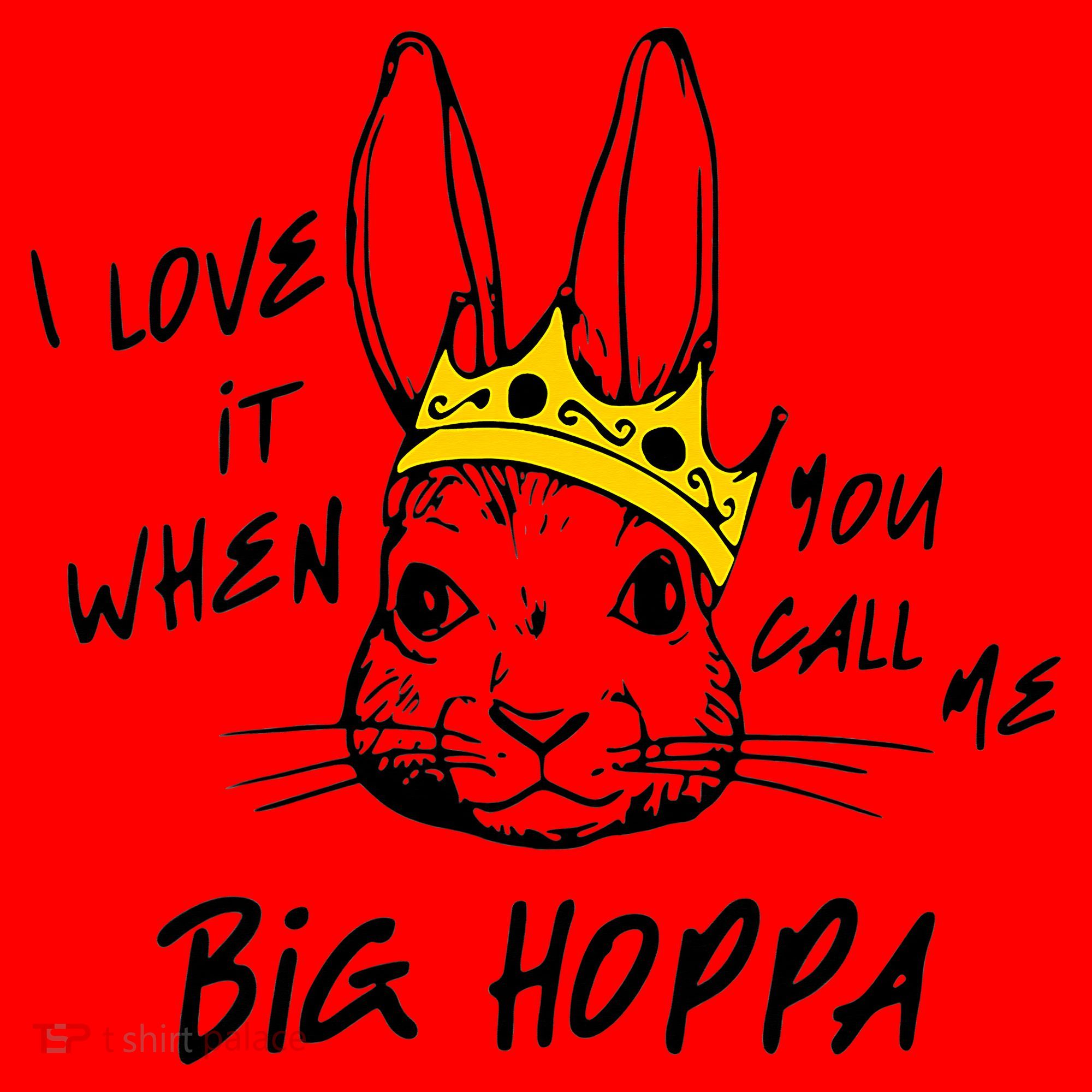 I Love It When You Call Me Big Hoppa Bunny Easter Day Funny Santa Hat