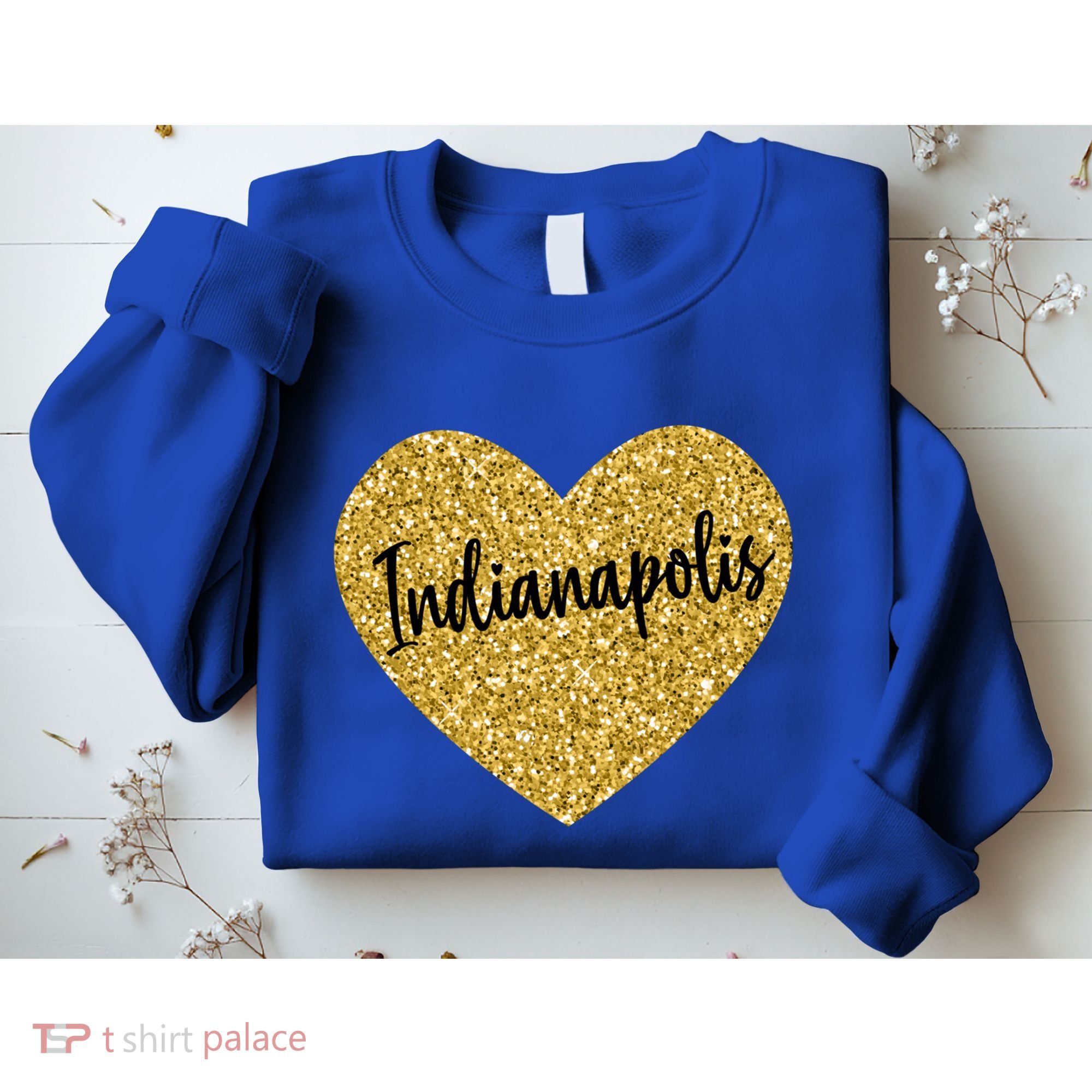 I Love Indianapolis Indiana Usa Cool Gift Sweatshirt