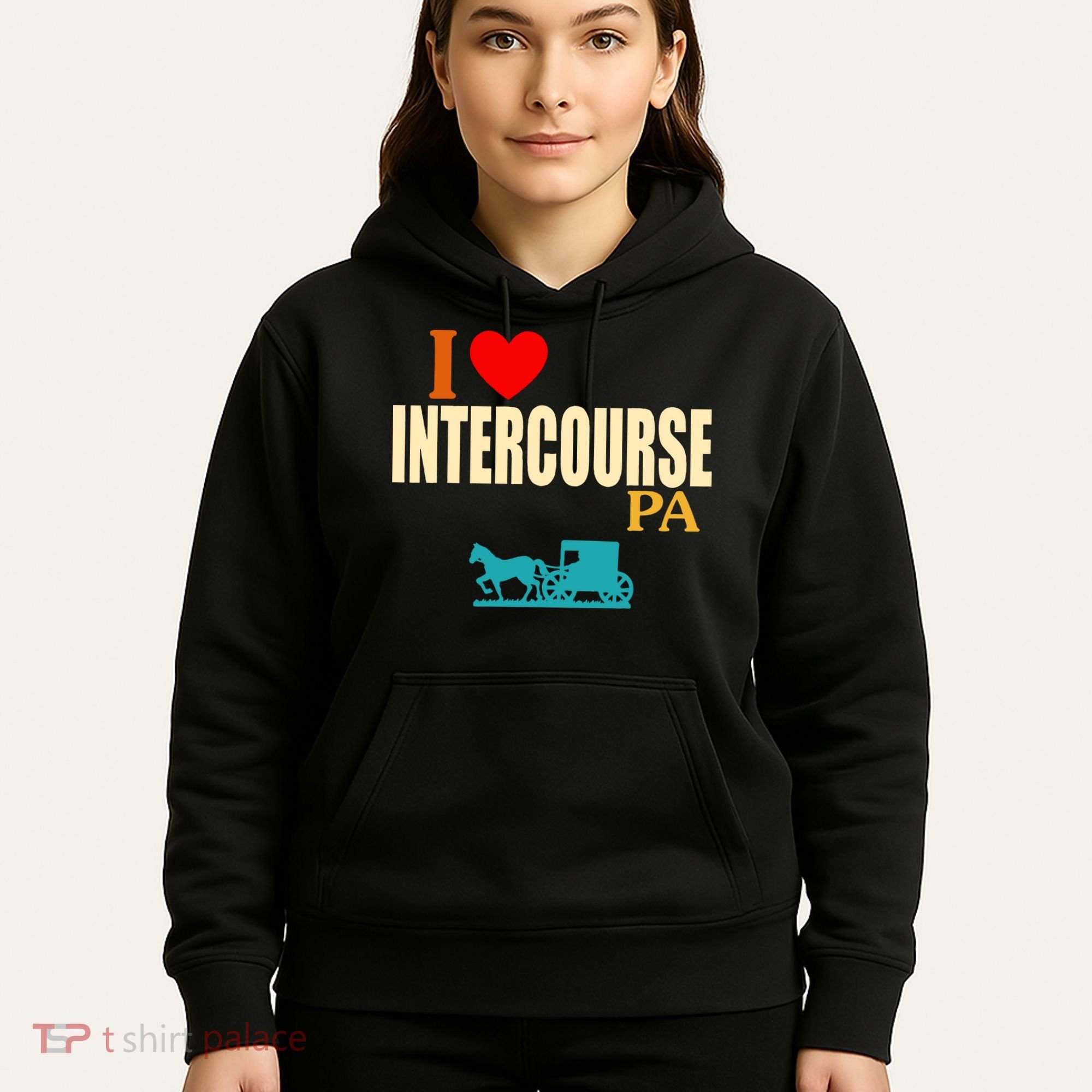 I Love Intercourse Funny Pa Hoodie