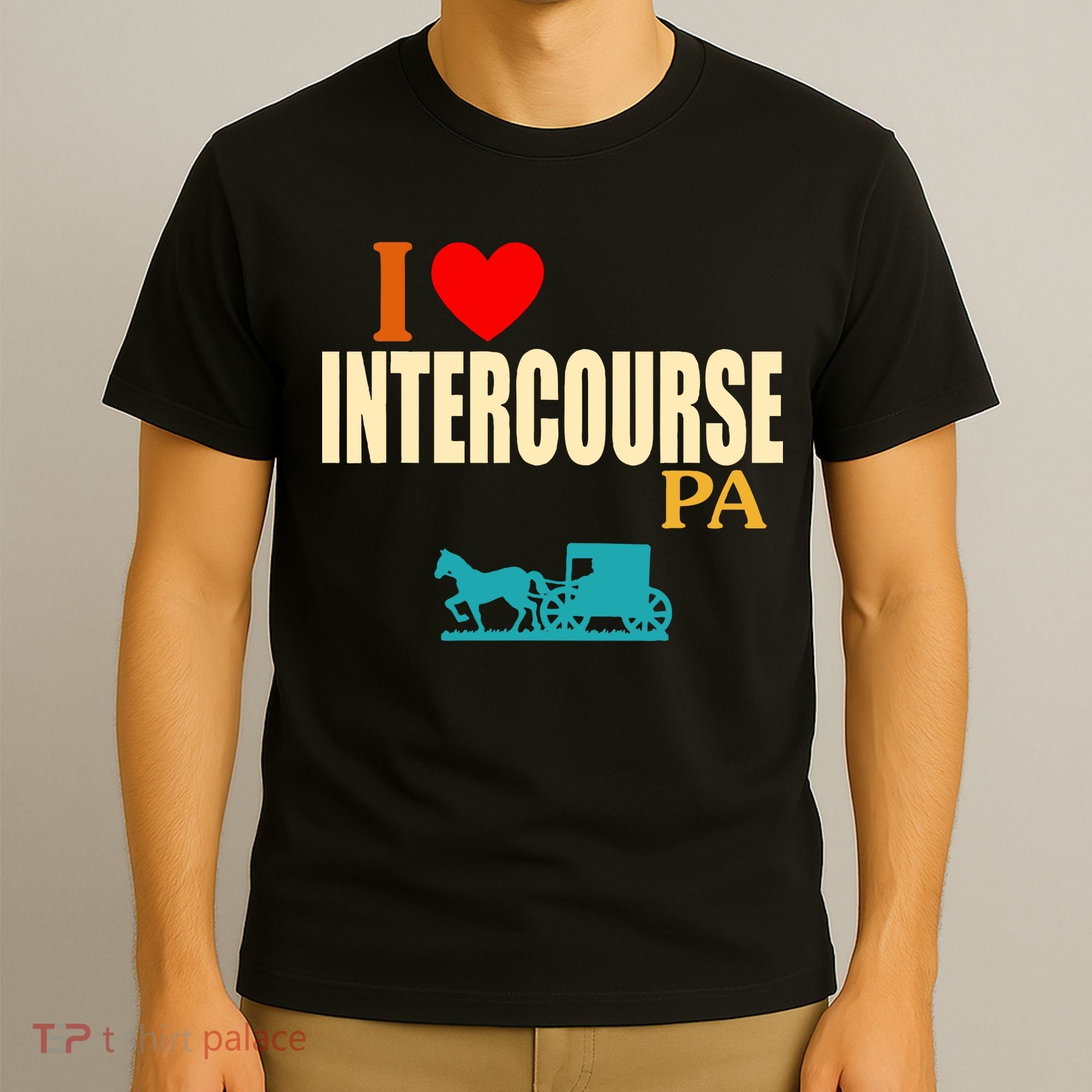 I Love Intercourse Funny Pa T-Shirt