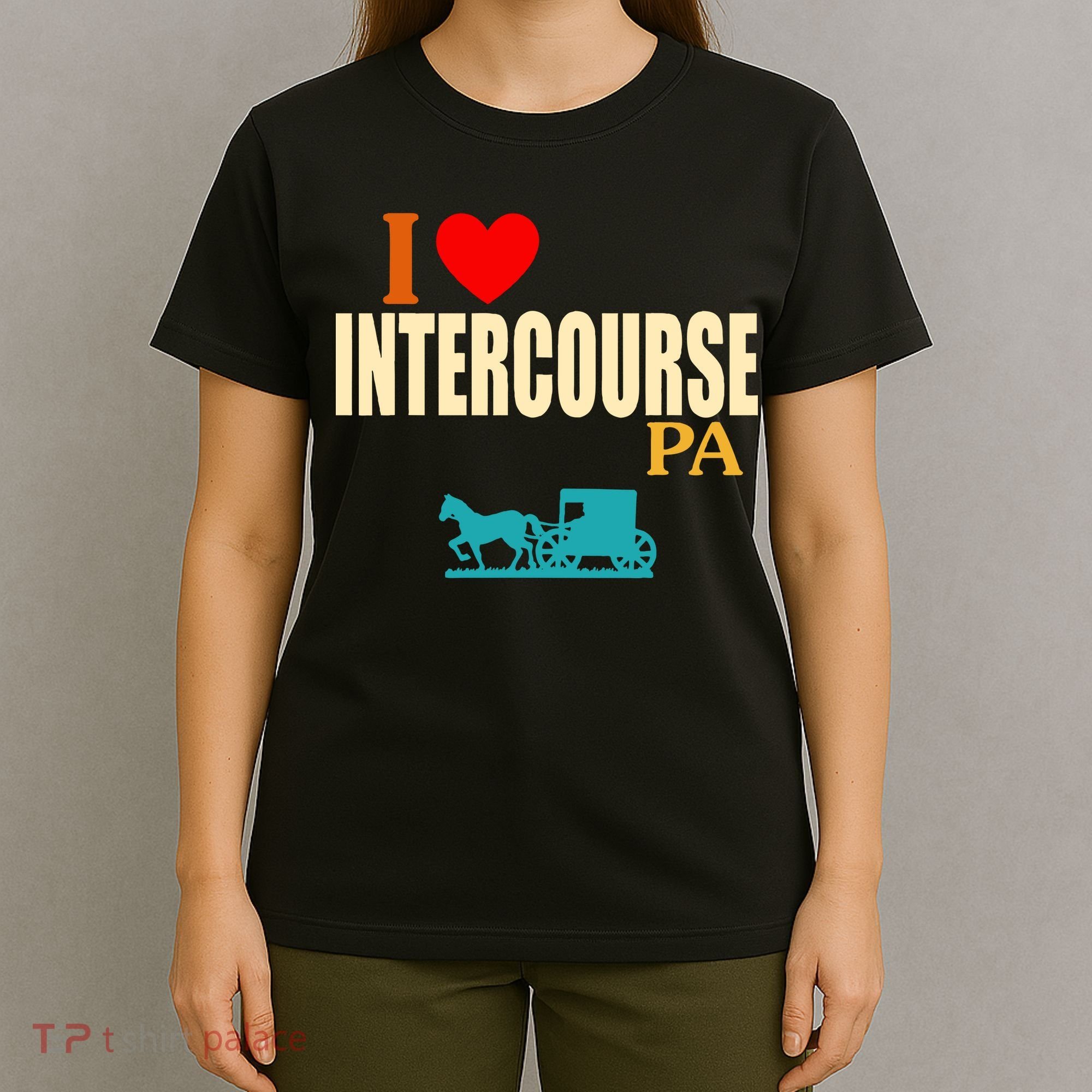 I Love Intercourse Funny Pa T-Shirt