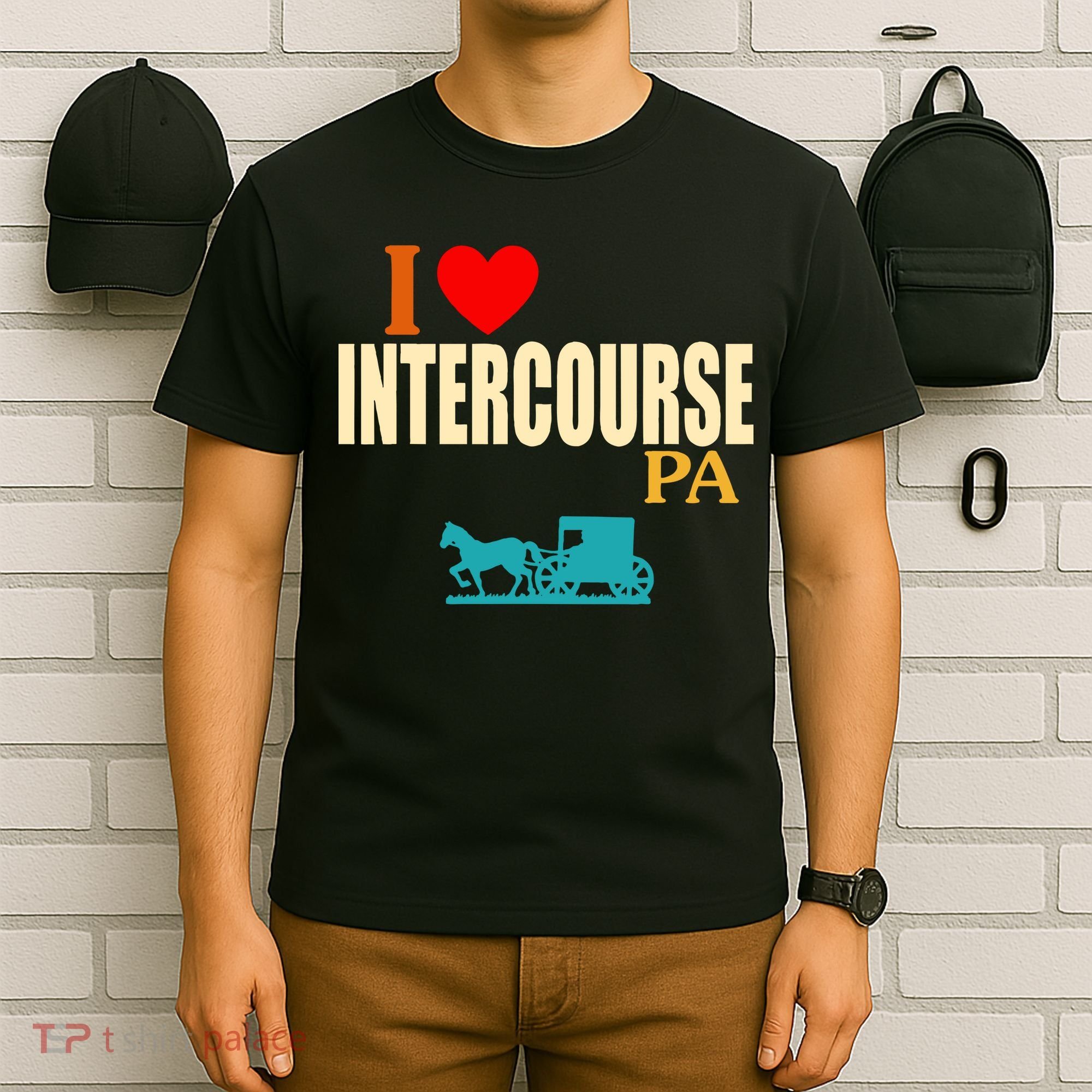 I Love Intercourse Funny Pa T-Shirt