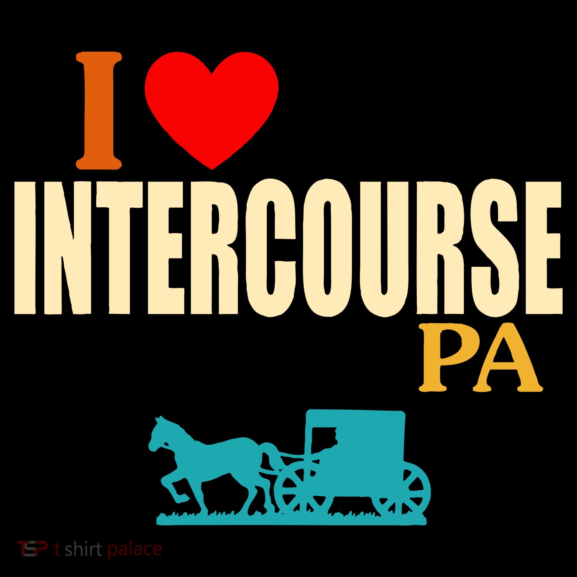 I Love Intercourse Funny Pa T-Shirt