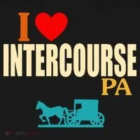 I Love Intercourse Funny Pa Ornament thumb 1