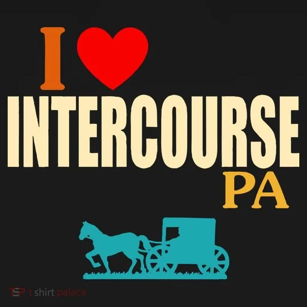 I Love Intercourse Funny Pa Ornament