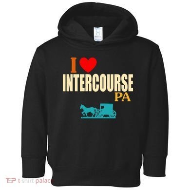 I Love Intercourse Funny Pa Toddler Hoodie