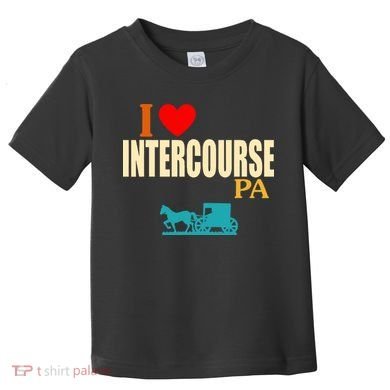 I Love Intercourse Funny Pa Toddler T-Shirt