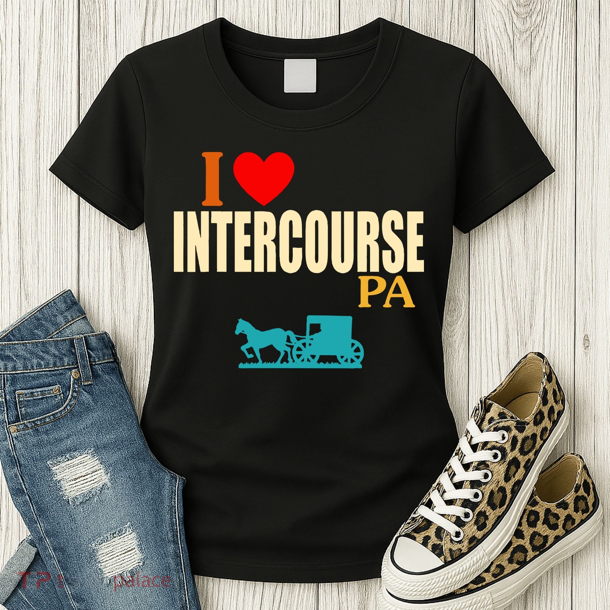 I Love Intercourse Funny Pa Women's T-Shirt