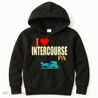 I Love Intercourse Funny Pa Kids Hoodie thumb 0