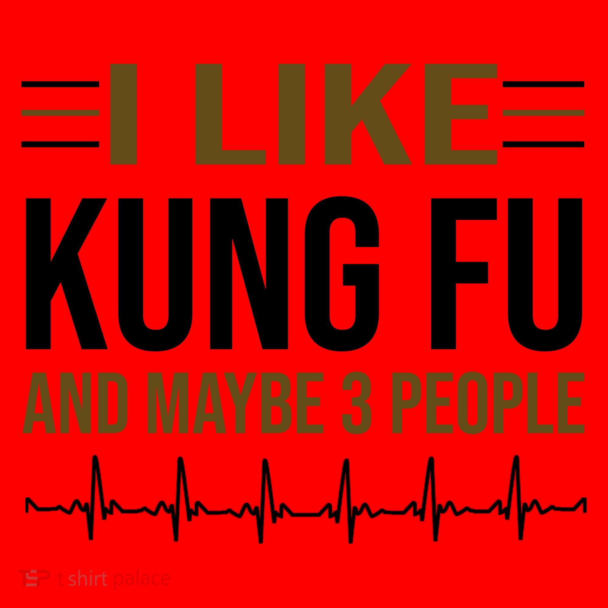 I Like Kung Fu And Maybe 3 People Santa Hat
