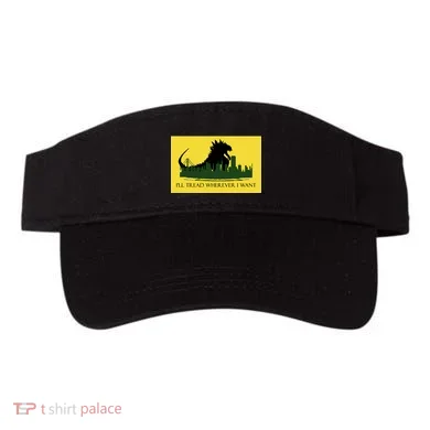 Visor