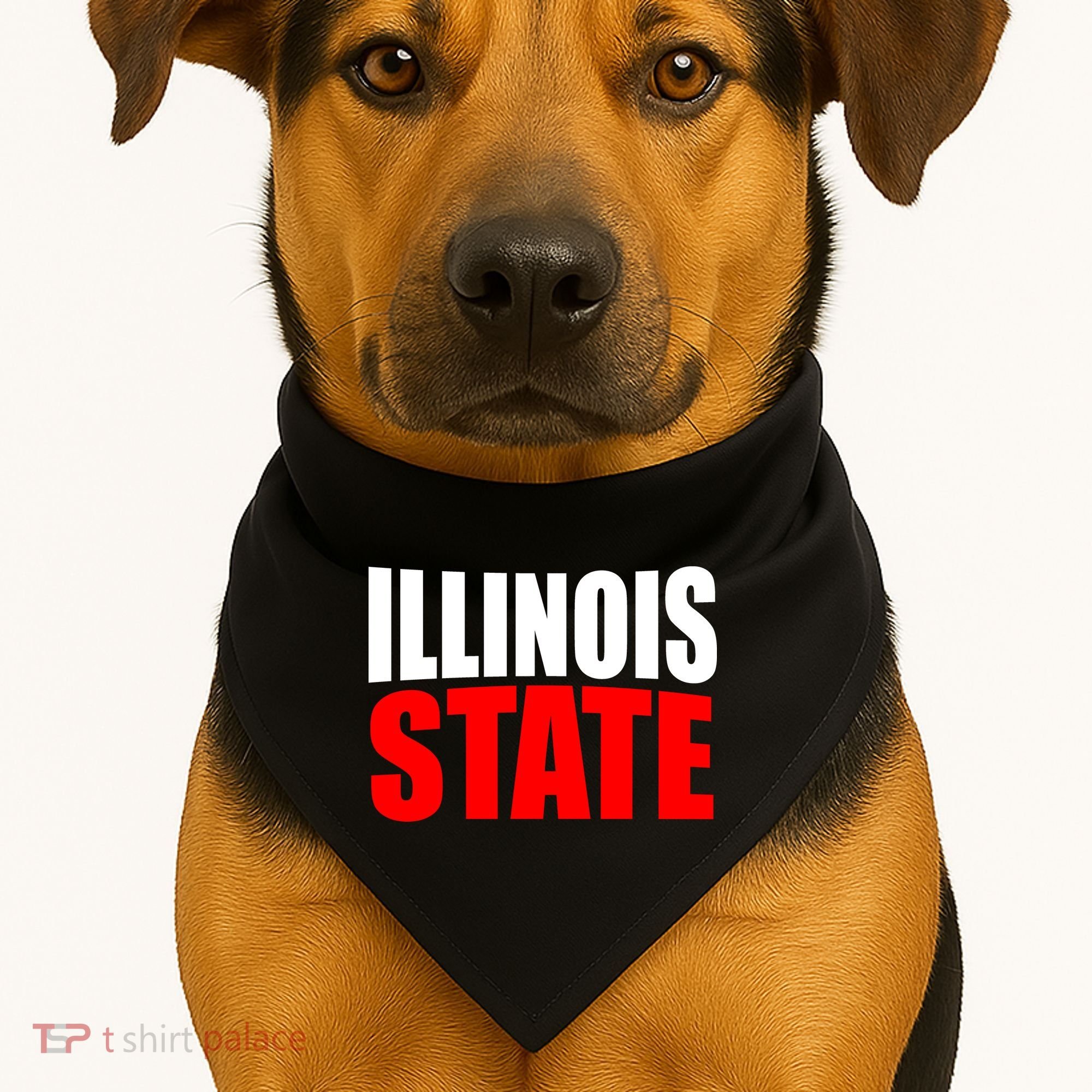 Illinois State USA-Made Doggie Bandana