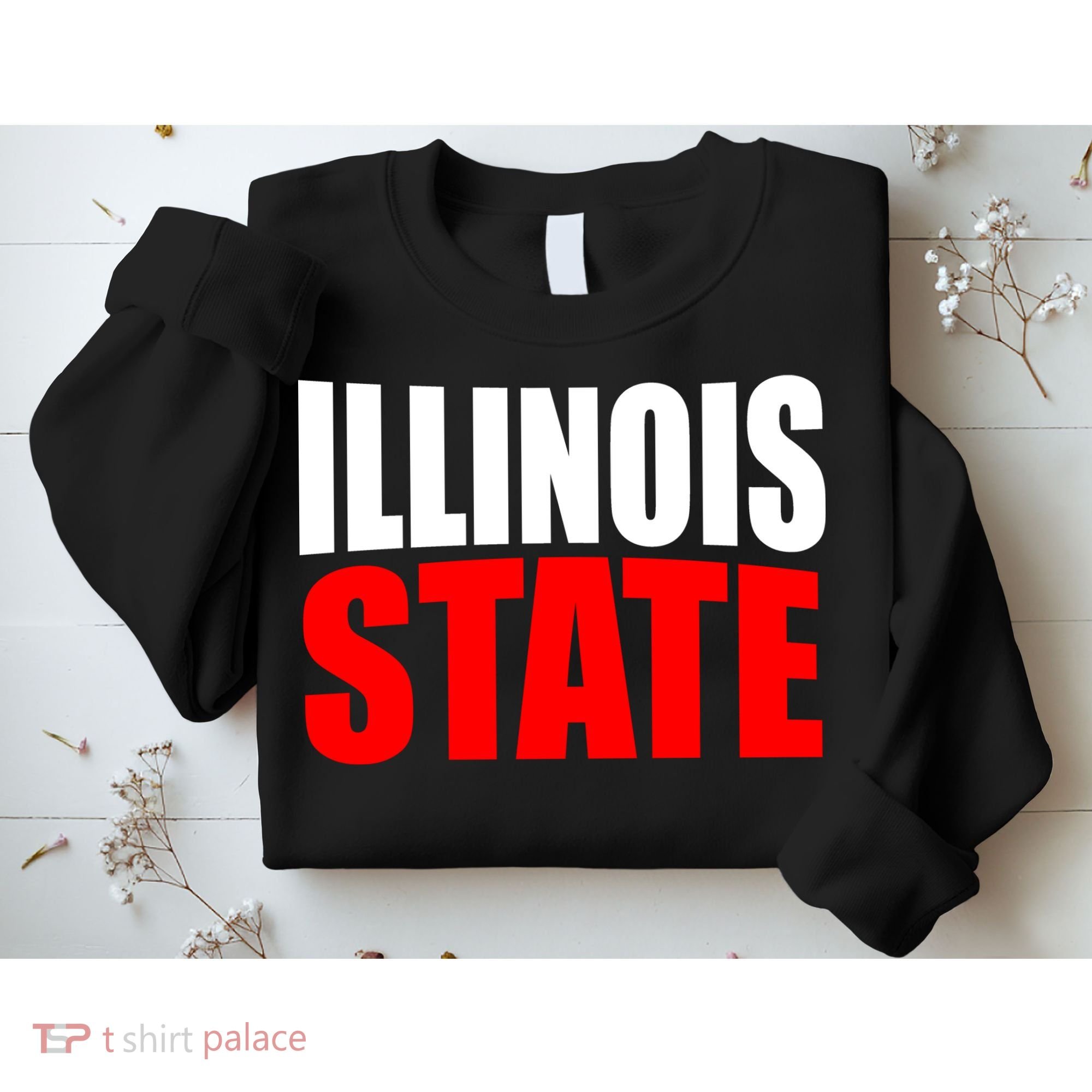 Illinois State Sweatshirt