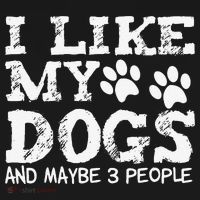 I Like My Dogs And Maybe 3 People Funny Sarcastic Dog Lover Ornament thumb 1