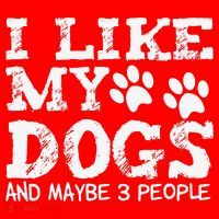 I Like My Dogs And Maybe 3 People Funny Sarcastic Dog Lover Santa Hat thumb 1