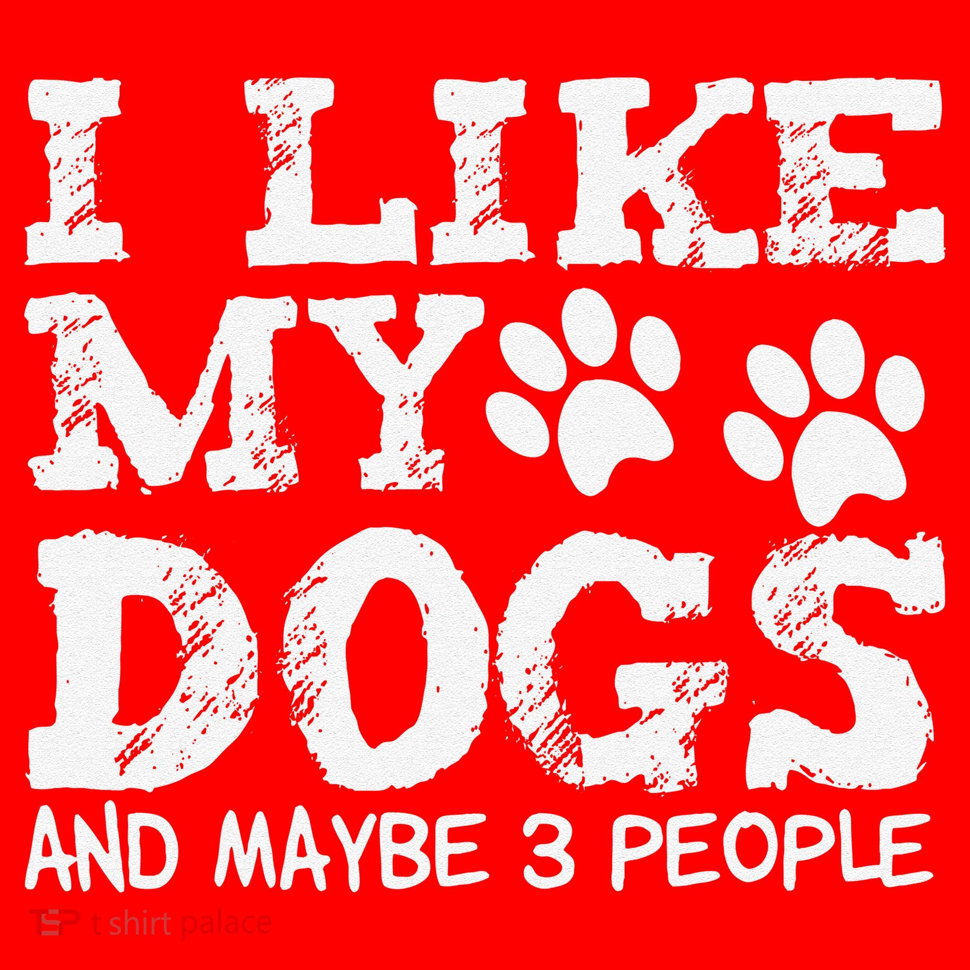 I Like My Dogs And Maybe 3 People Funny Sarcastic Dog Lover Santa Hat