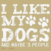 I Like My Dogs And Maybe 3 People Funny Sarcastic Dog Lover Hoodie thumb 2