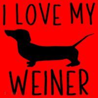 I Love My Weiner Meaningful Gift For Dachshund Lovers Santa Hat thumb 1