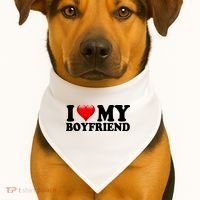 I Love My Boyfriend USA-Made Doggie Bandana thumb 1
