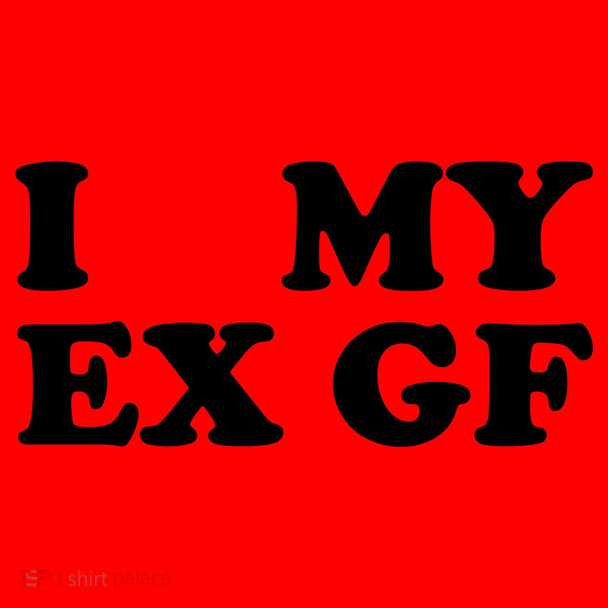I Love My Ex Girlfriend Funny Gift Santa Hat