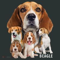 I Love My Beagle Dog Themed Funny Beagle Lover T Long Sleeve Shirt thumb 2