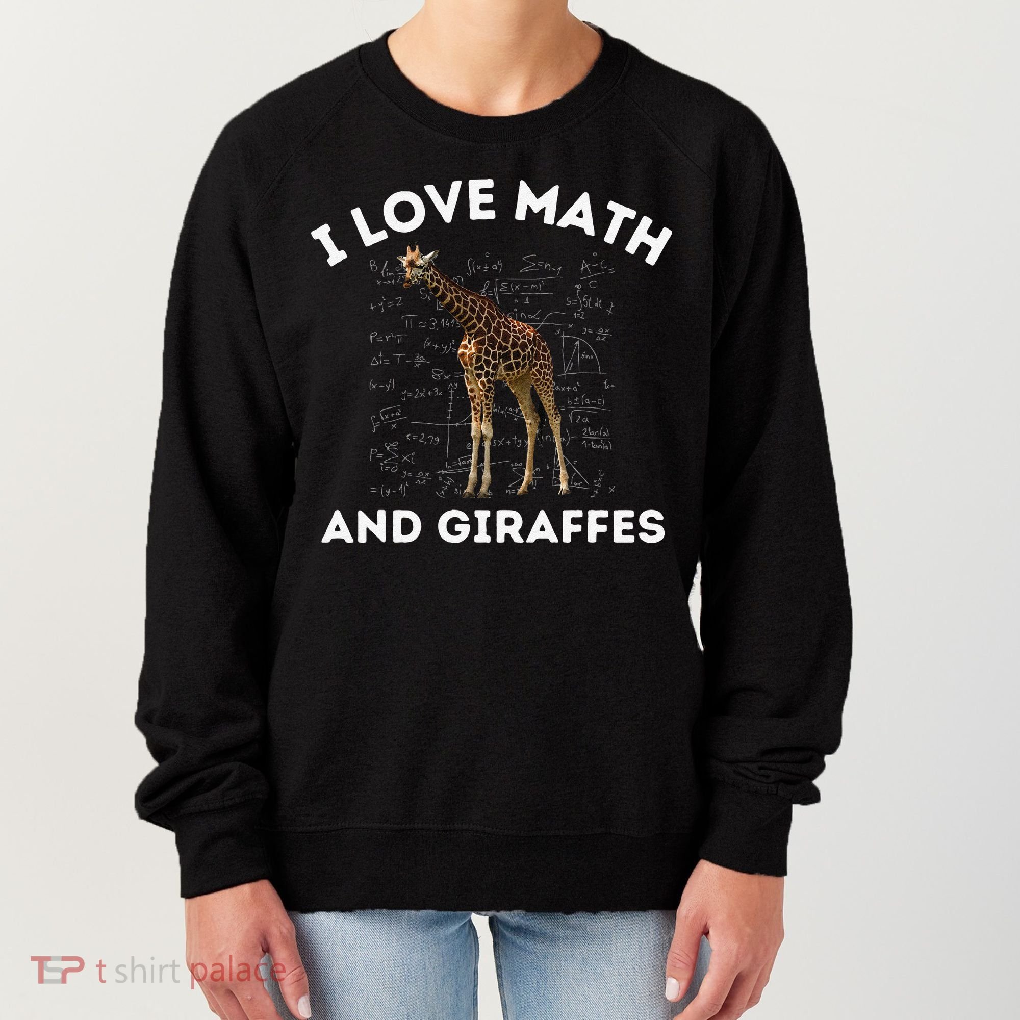 I Love Math And Giraffes Algebra STEM Teacher Women's Sweatshirt