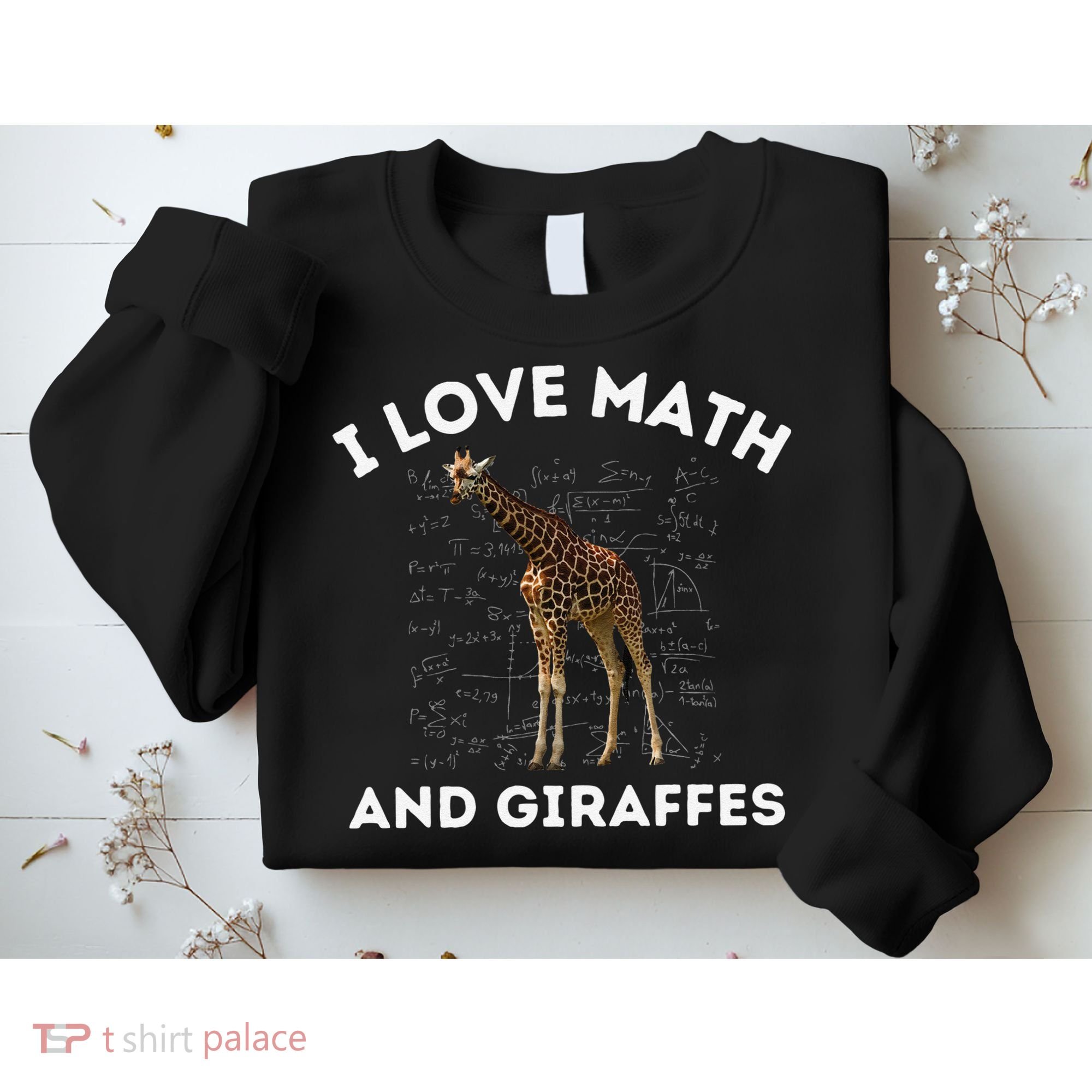 I Love Math And Giraffes Algebra STEM Teacher Sweatshirt