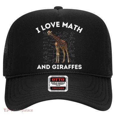 I Love Math And Giraffes Algebra STEM Teacher Hat