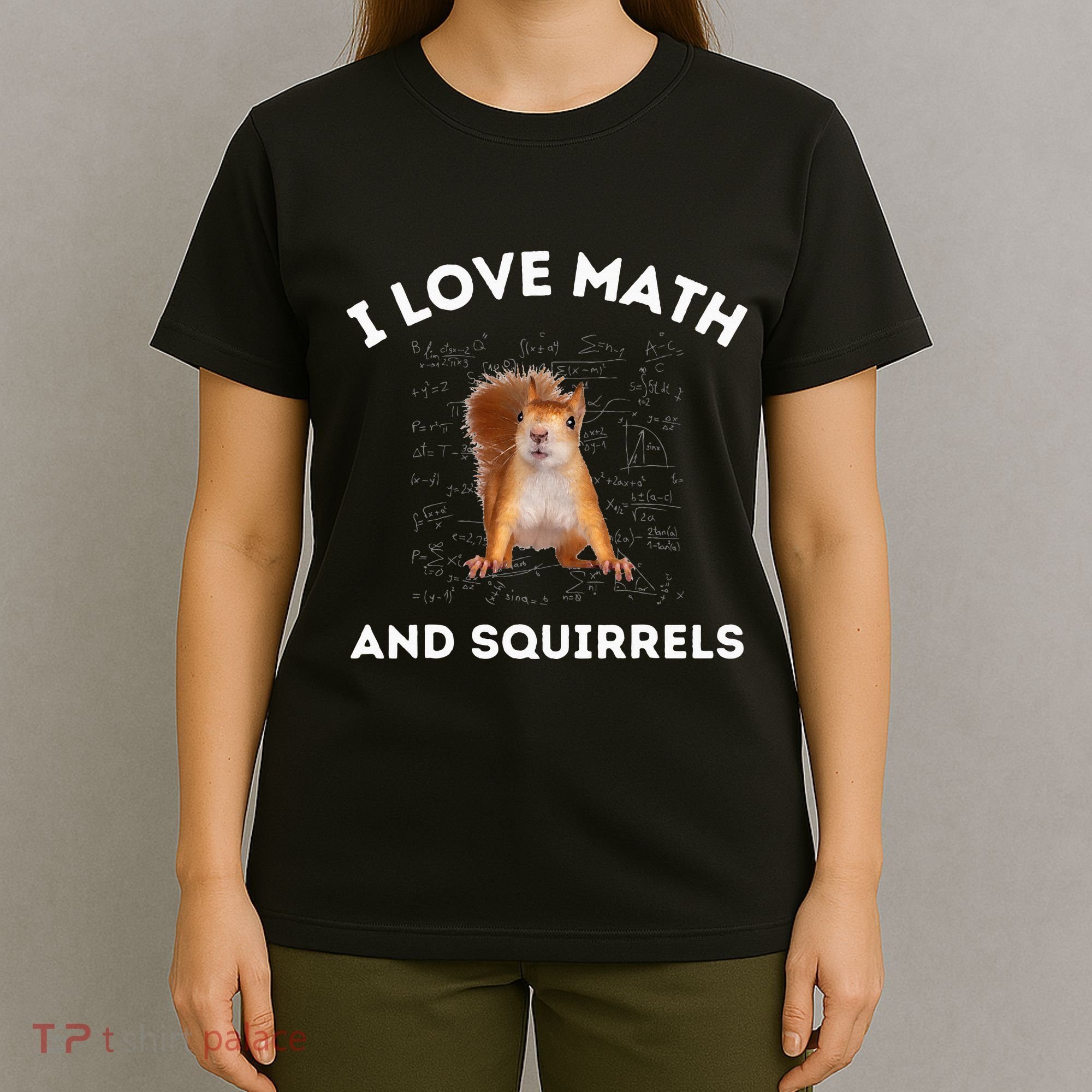 I Love Math And Squirrels Squirrel Lover Algebra Teacher T-Shirt