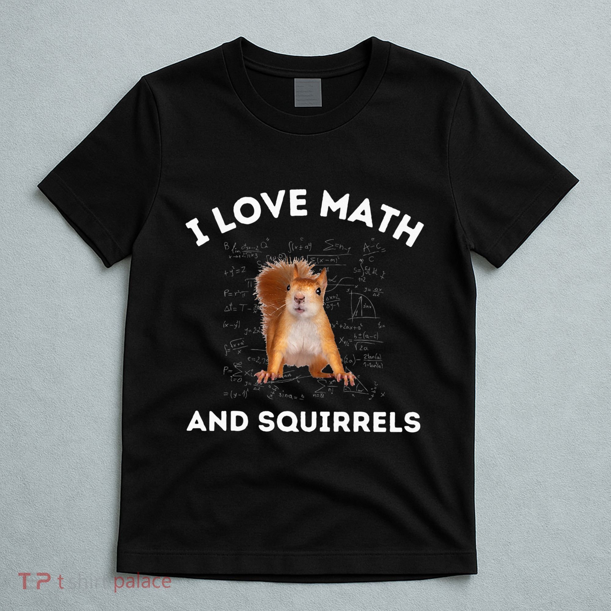 I Love Math And Squirrels Squirrel Lover Algebra Teacher T-Shirt
