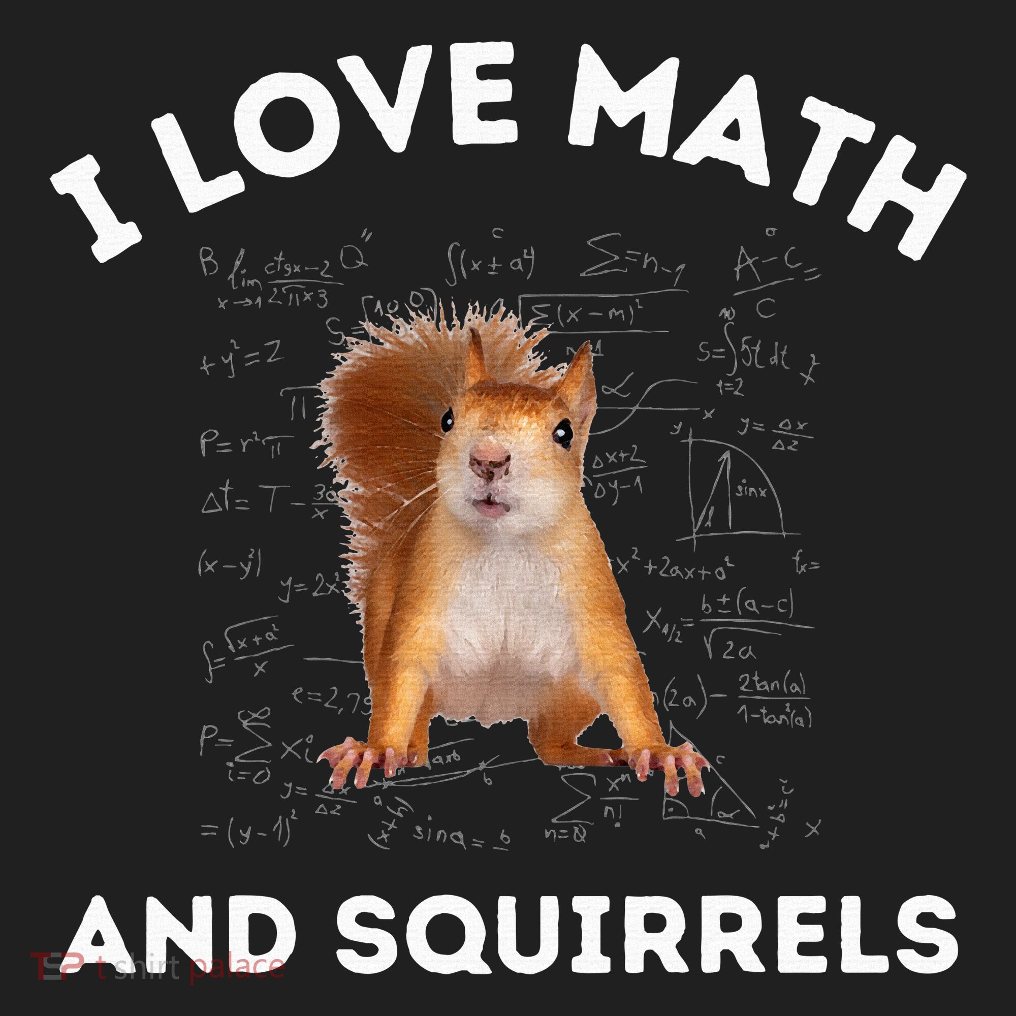 I Love Math And Squirrels Squirrel Lover Algebra Teacher Beanie