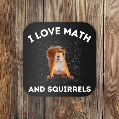 I Love Math And Squirrels Squirrel Lover Algebra Teacher Coaster