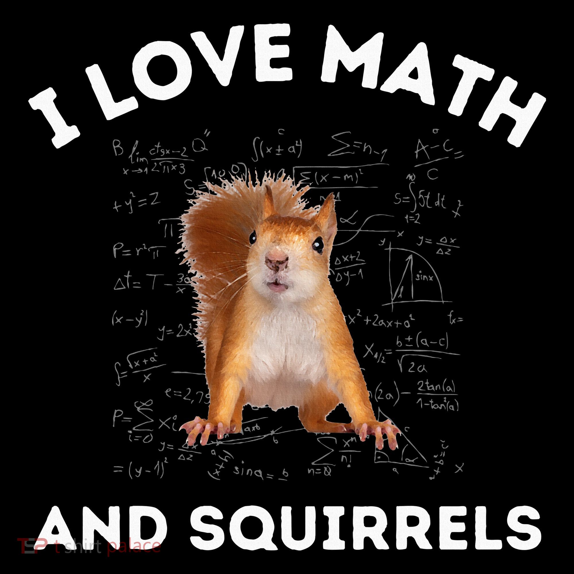 I Love Math And Squirrels Squirrel Lover Algebra Teacher Mousepad