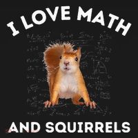 I Love Math And Squirrels Squirrel Lover Algebra Teacher Ornament thumb 1