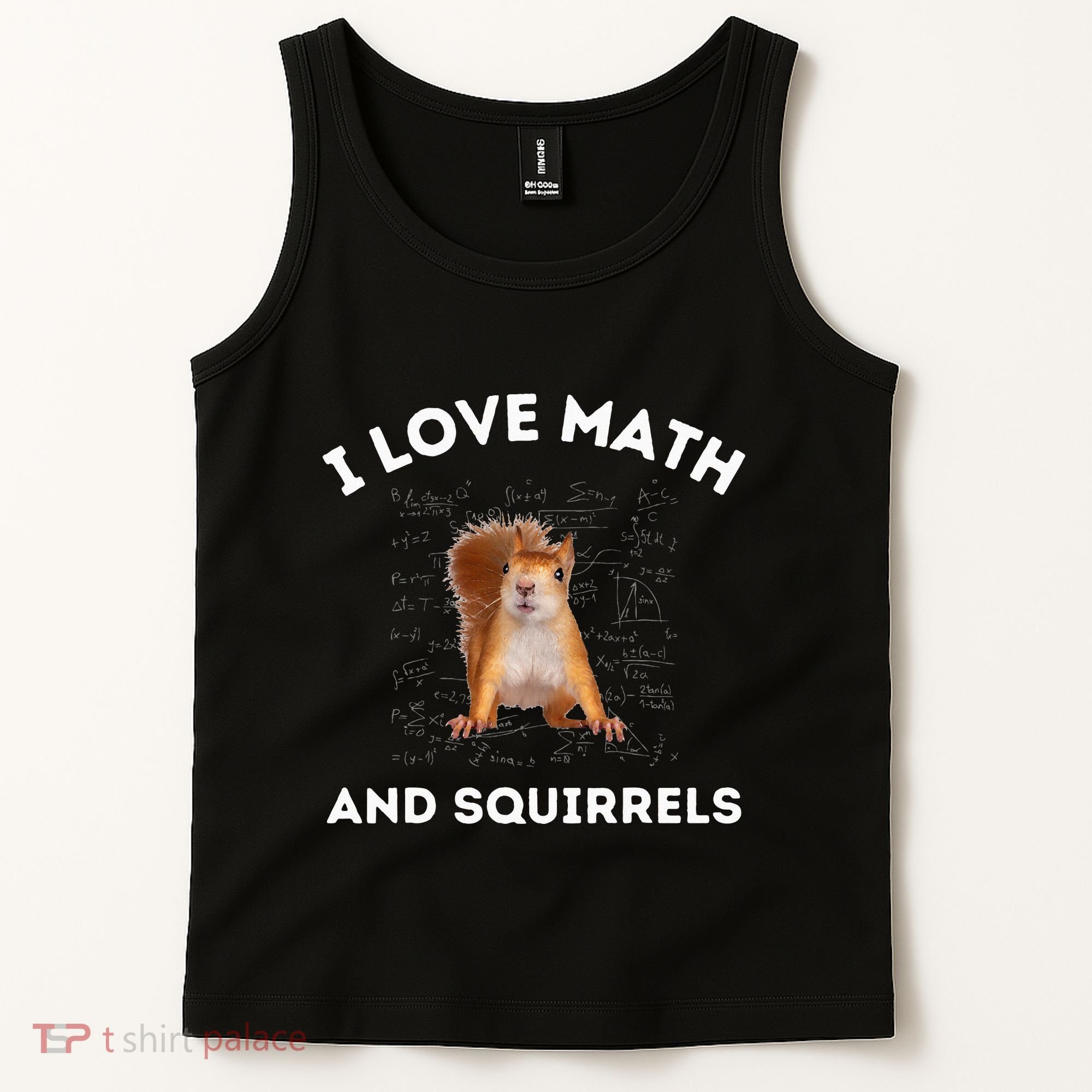 I Love Math And Squirrels Squirrel Lover Algebra Teacher Tank Top