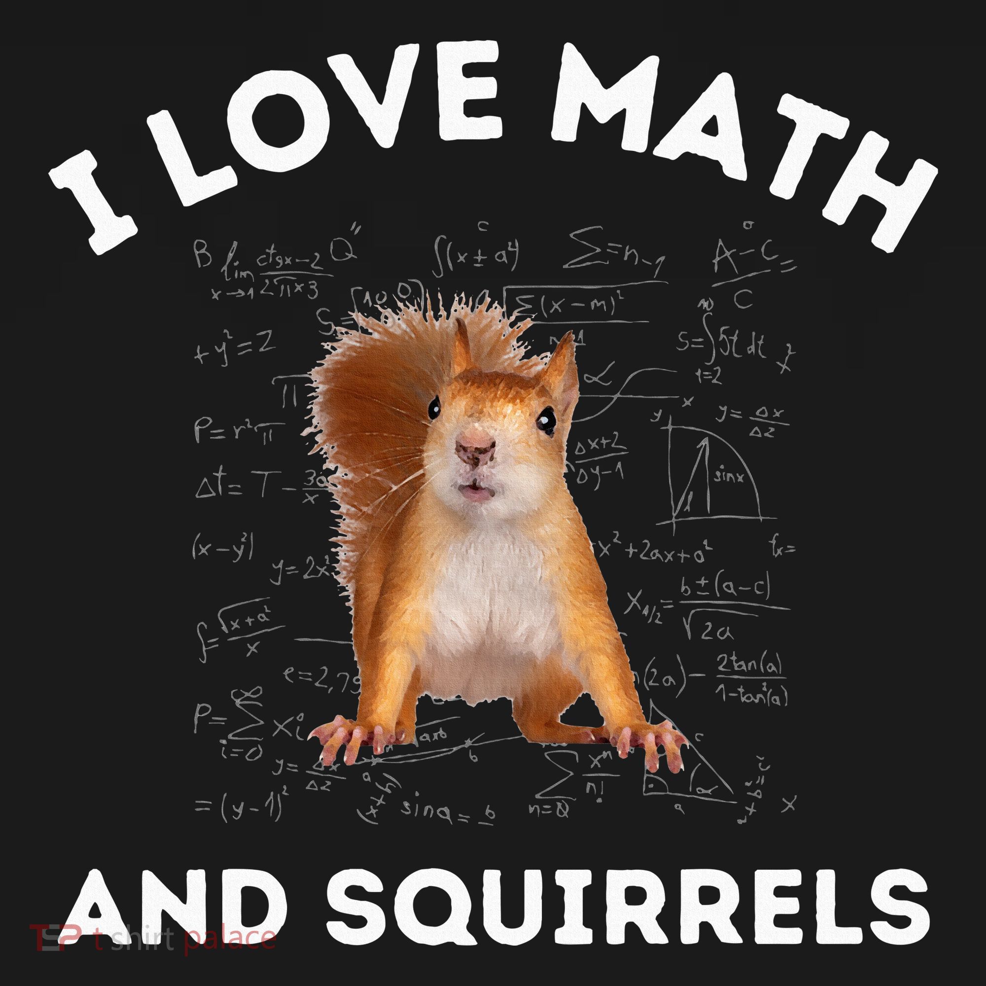I Love Math And Squirrels Squirrel Lover Algebra Teacher Kids Long Sleeve Shirt