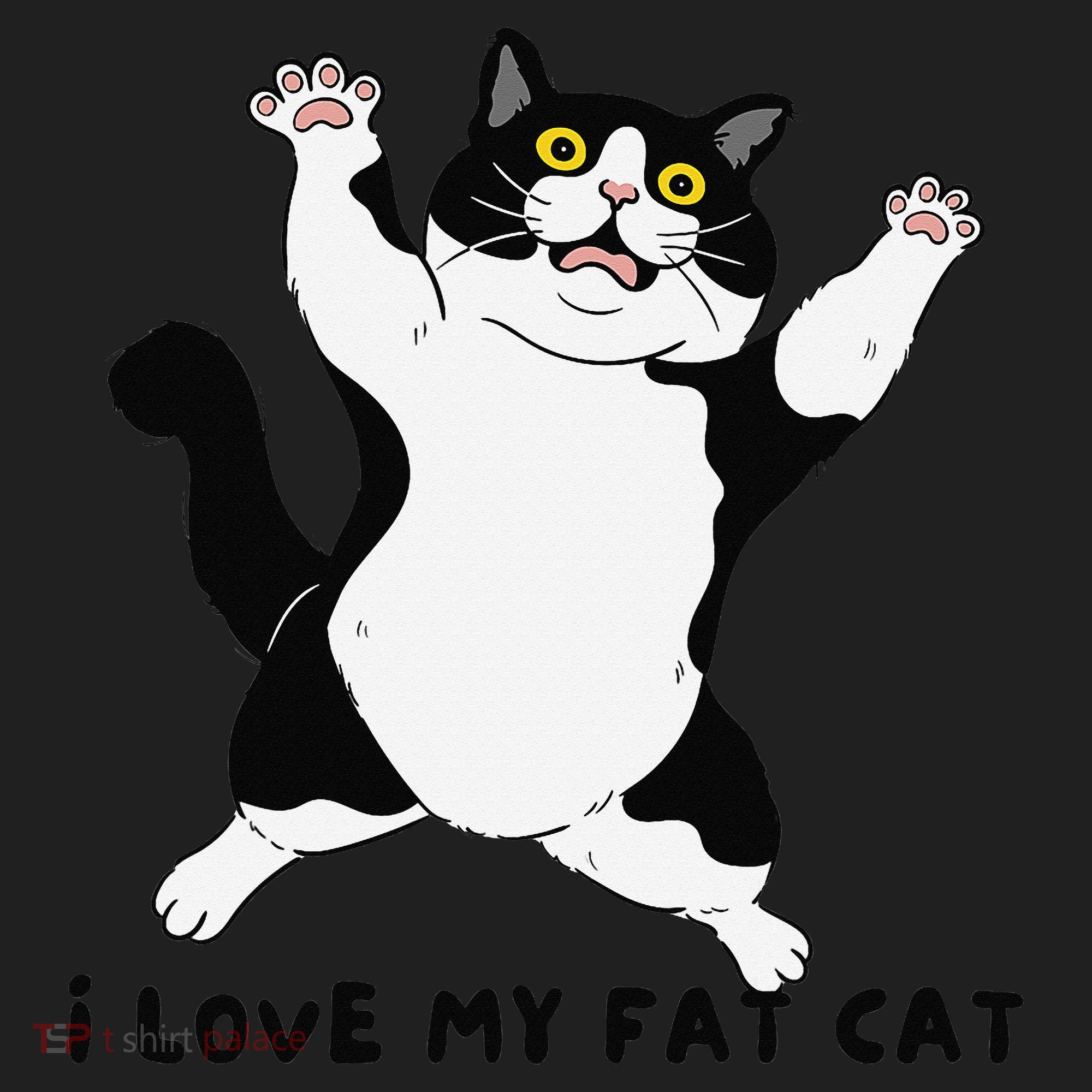 I Love My Fat Cat Funny Cat Lover Beanie
