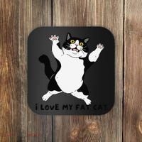 I Love My Fat Cat Funny Cat Lover Coaster thumb 0