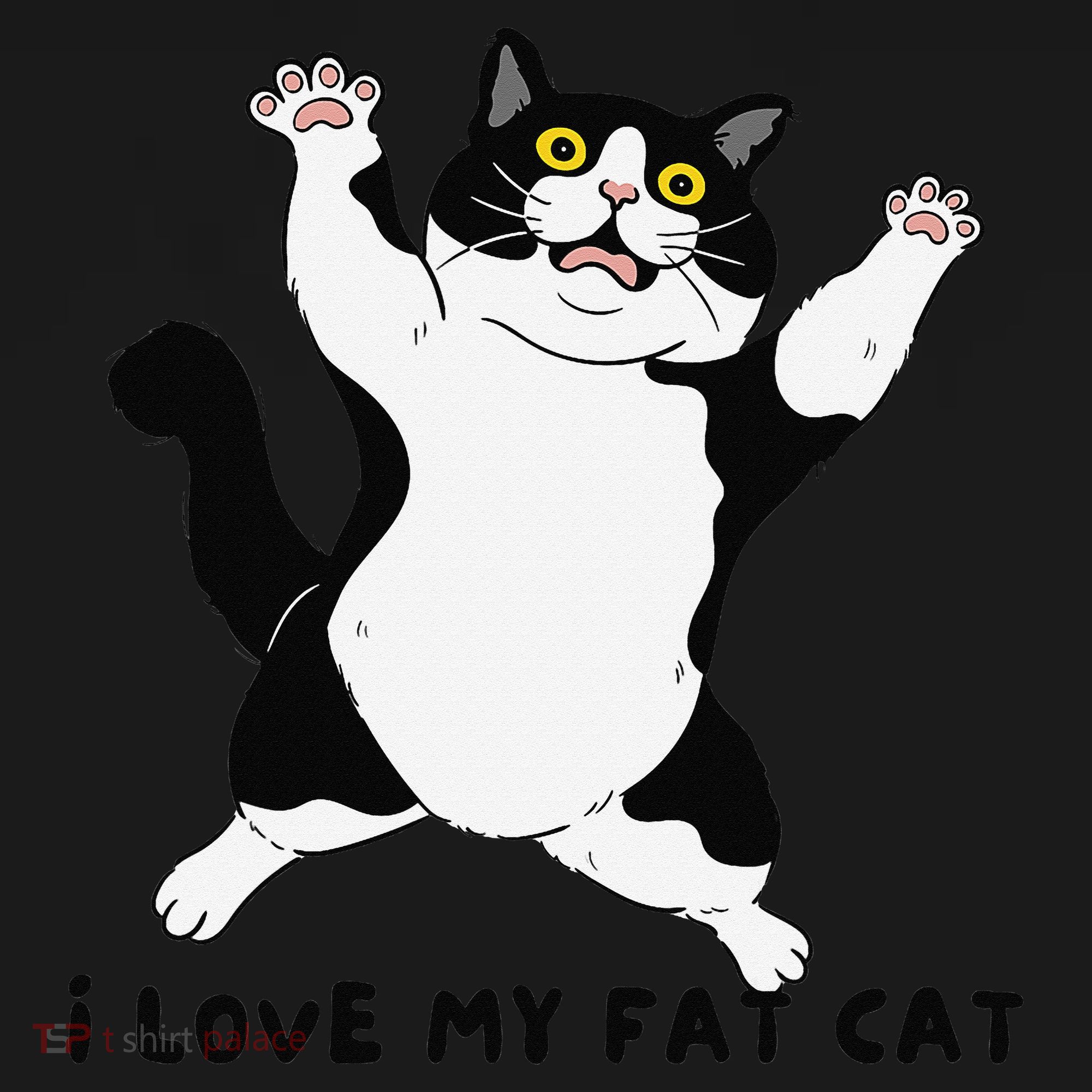 I Love My Fat Cat Funny Cat Lover Women's Hoodie