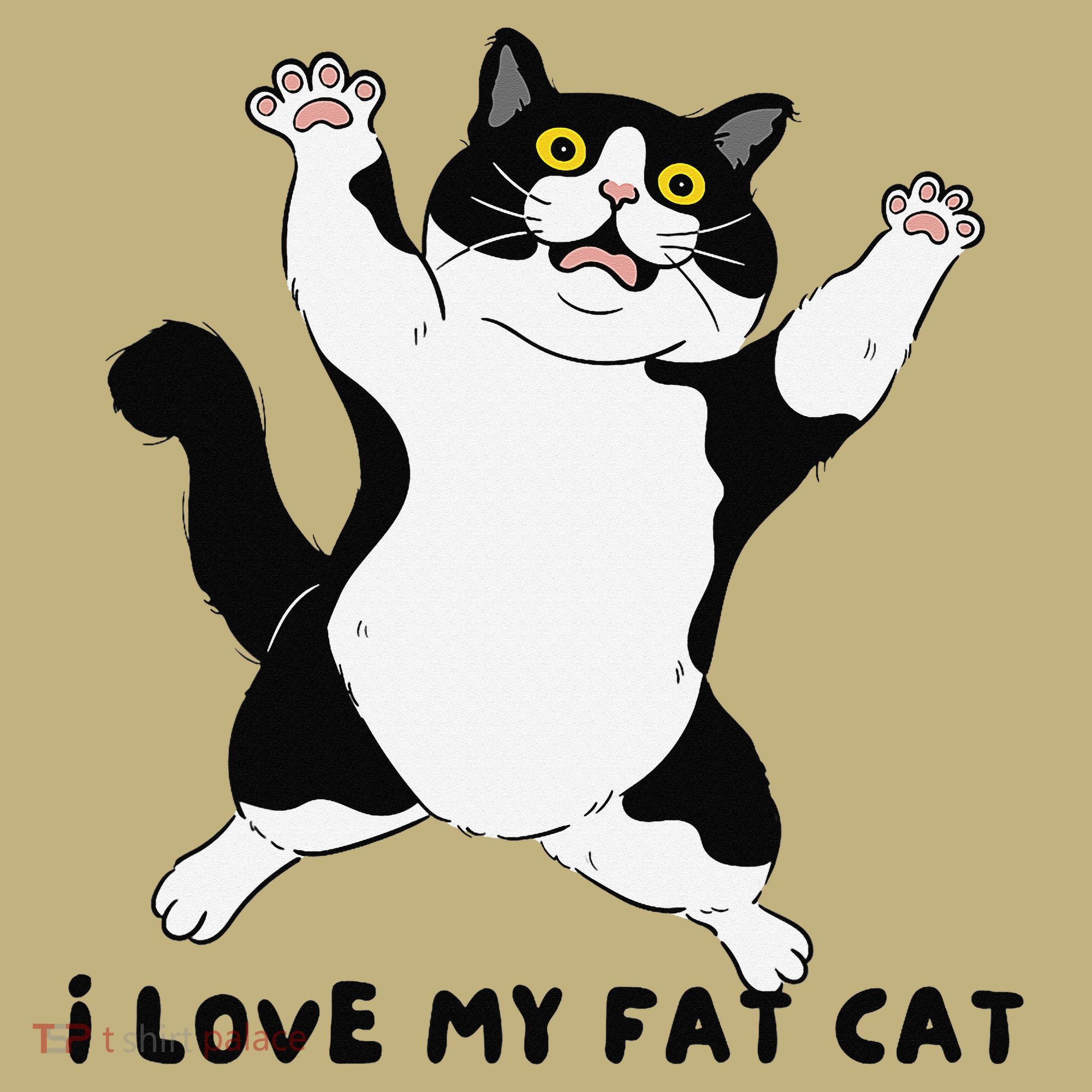 I Love My Fat Cat Funny Cat Lover Kids T-Shirt