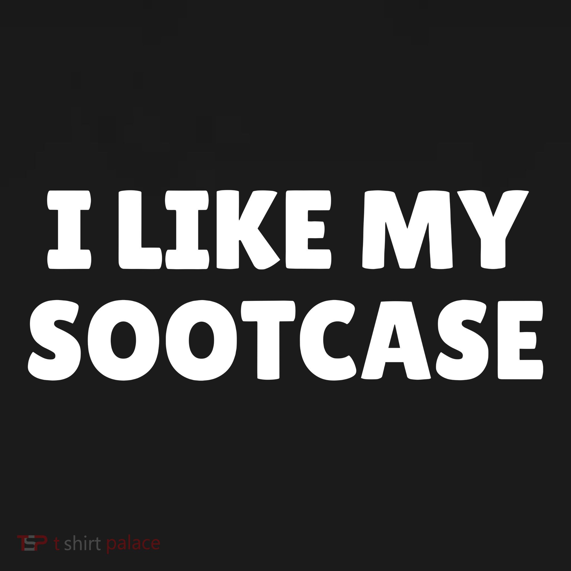 I Like My Suitcase I Like My Sootcase Funny Women's Tank Top
