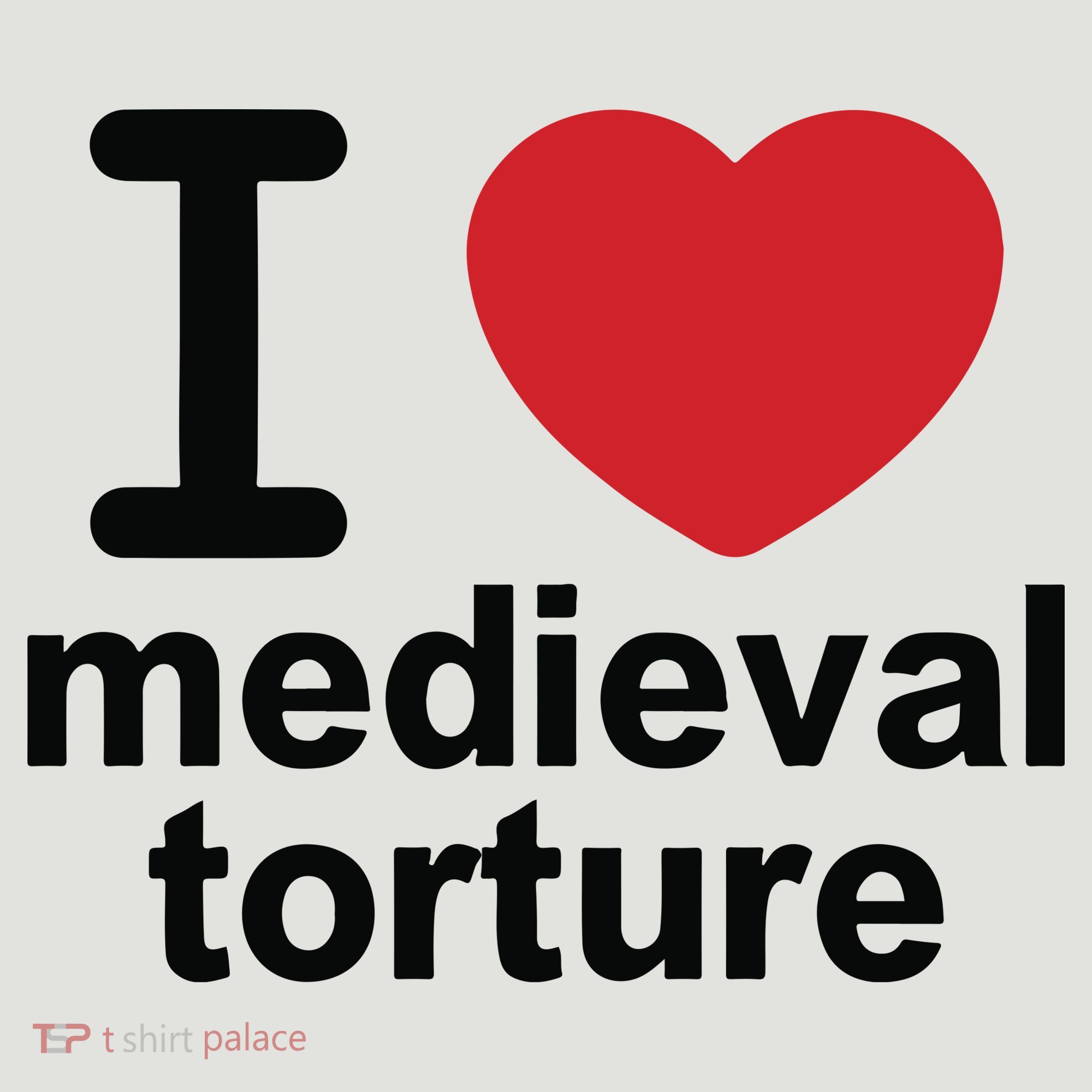 I Love Medieval Torture 24oz Duet Stainless Steel Tumbler