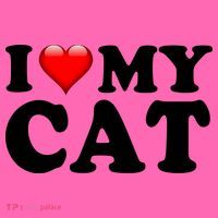 I Love My Cat Stripe Pom Pom Beanie thumb 2