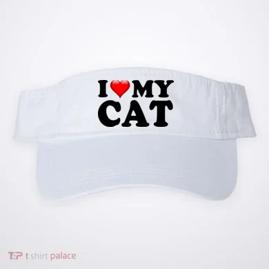 Visor