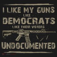 I Like My Guns Like Democrats Like Their Voters Undocumented Hoodie thumb 2