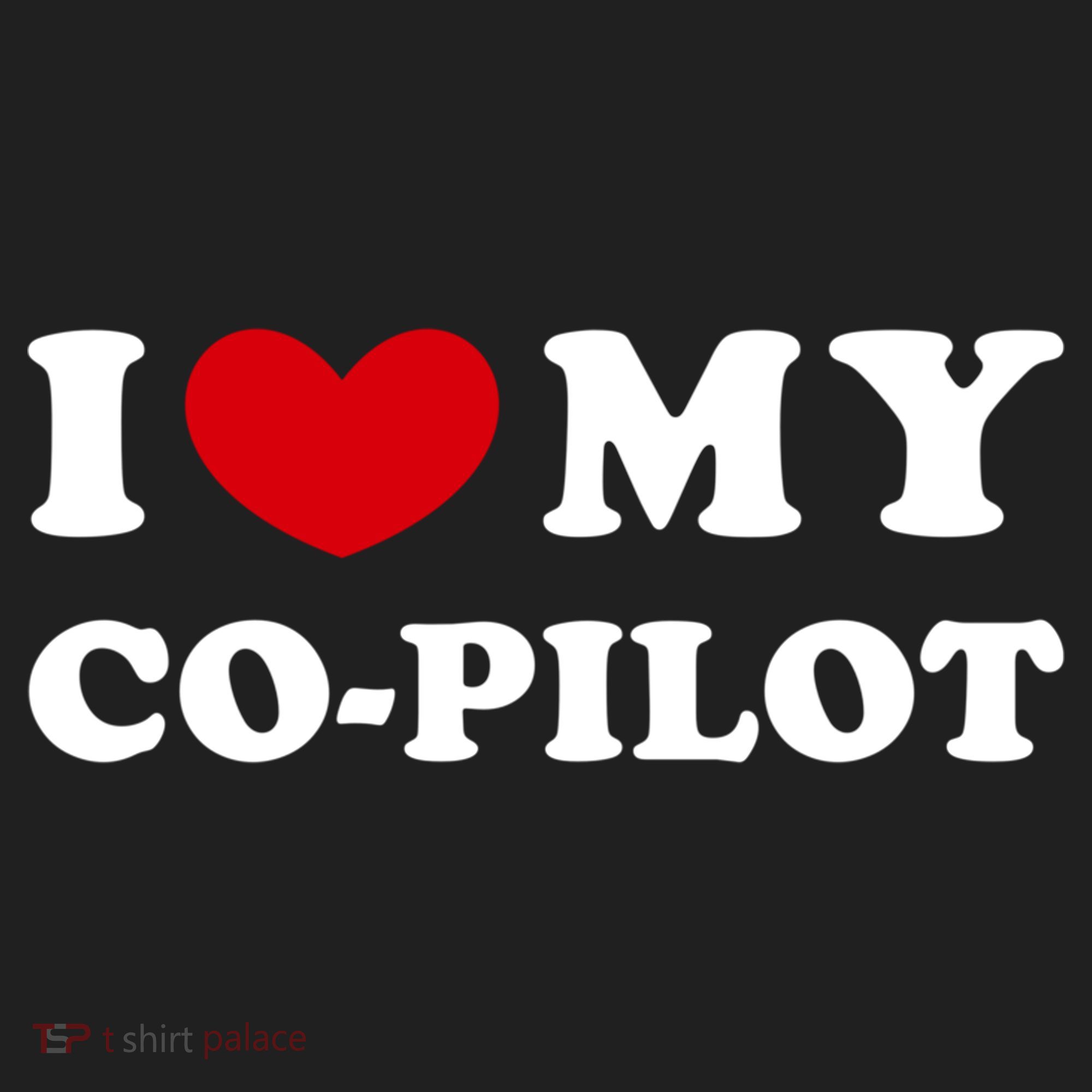 I Love My Copilot I Heart My Copilot Great Gift Hat