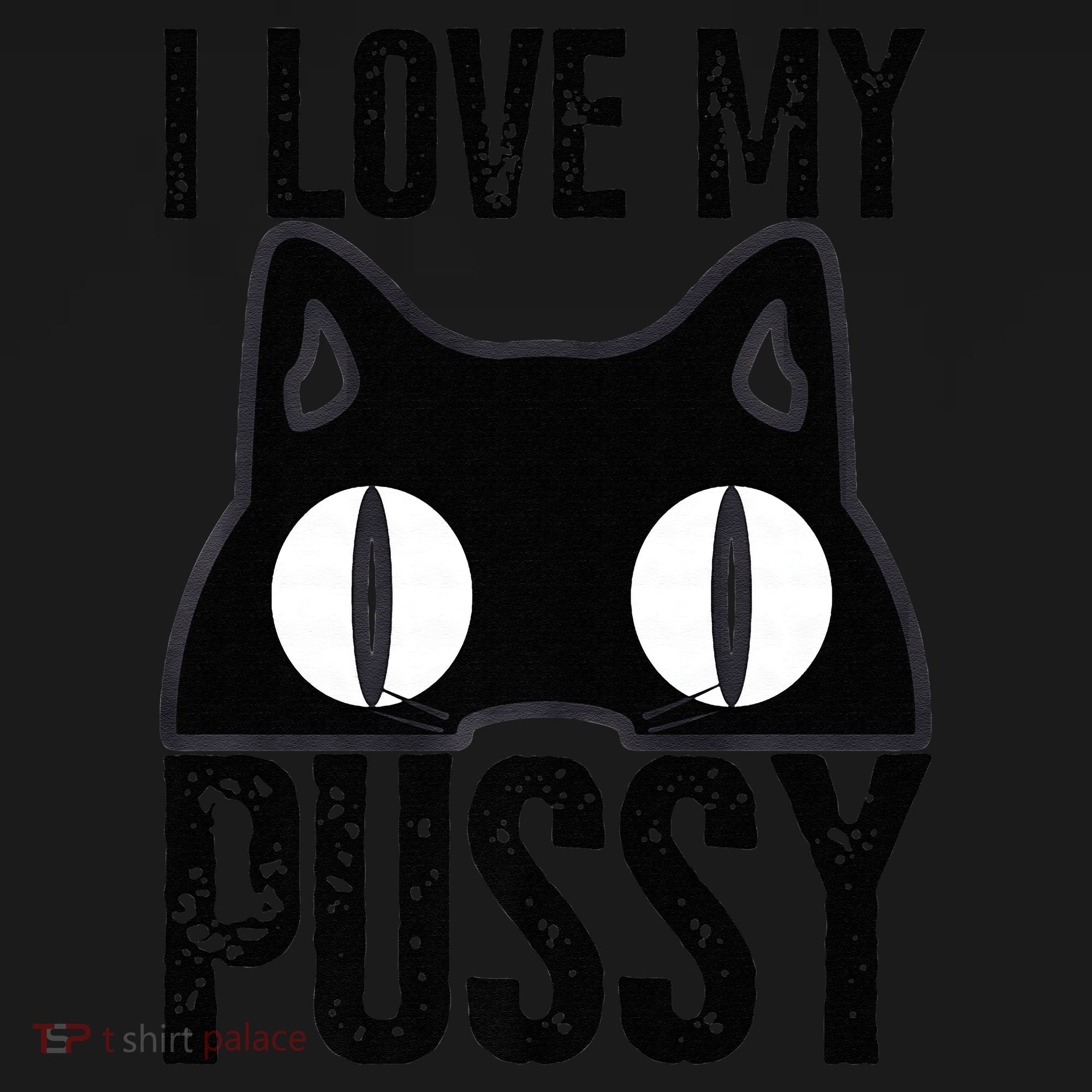 I Love My Pussy Cat Funny Halloween Cats Spiderweb Premium Women's Hoodie