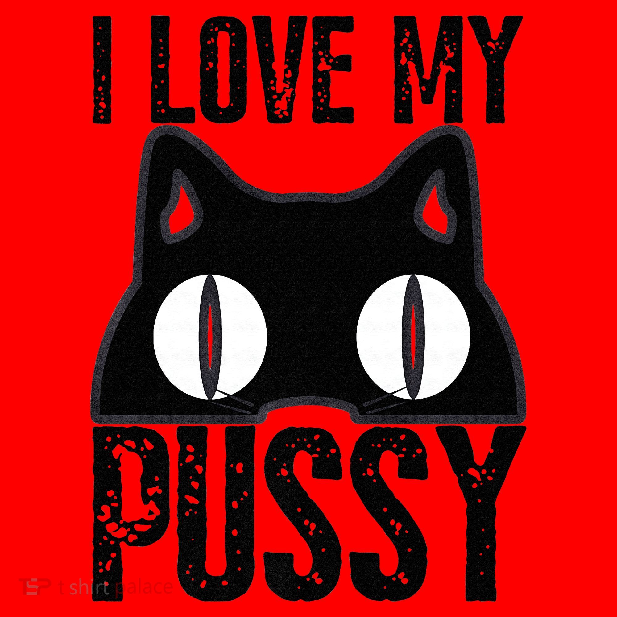 I Love My Pussy Cat Funny Halloween Cats Spiderweb Premium Santa Hat