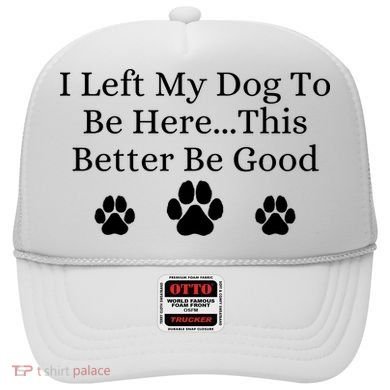 I Left My Dog To Be Here This Better Be Good Hat